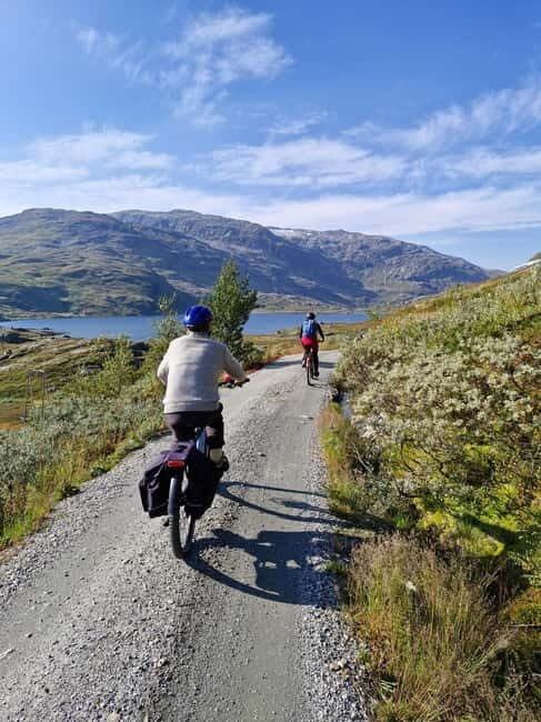 Flam-Myrdal: Guided e-bike tour on the famous Rallarvegen. - What You Can Expect During the Tour