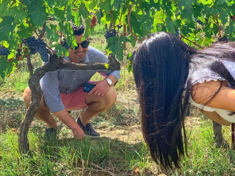 Florence: Brunello Wine Tour with Lunch at the Winery - Who Will Appreciate This Tour?