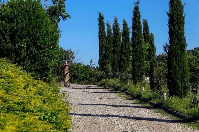 Florence by E-Bike: Hidden Hills & Local Thrills - What Makes This Tour Stand Out?