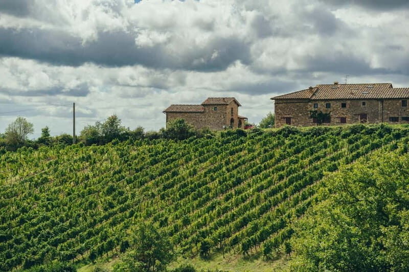 Florence: Chianti Secrets Wineries Tour With Lunch - What Travelers Love Most