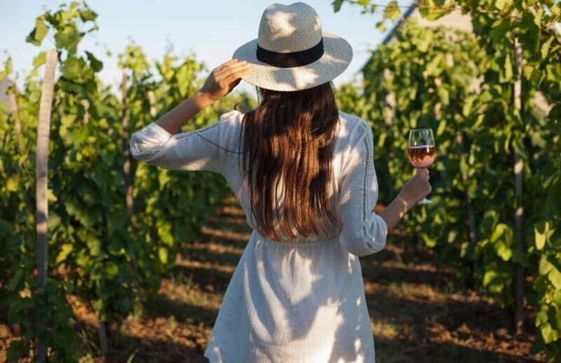 Florence: Chianti Vineyards Tour with Wine Tasting & Dinner - Authentic Experiences and Notable Highlights