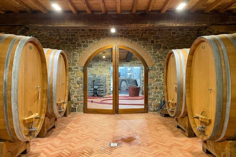 Florence: Hiking Tuscany & Chianti wine 3 wineries and lunch - The Lunch Experience — A Tuscan Feast  