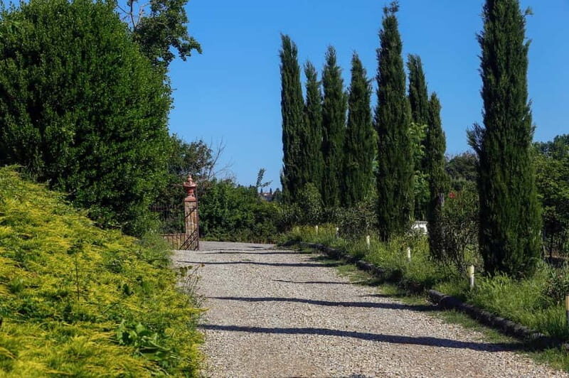 Florence: Horse Ride & Chianti Farm Meal - Farm Visit: Connecting with Rural Life