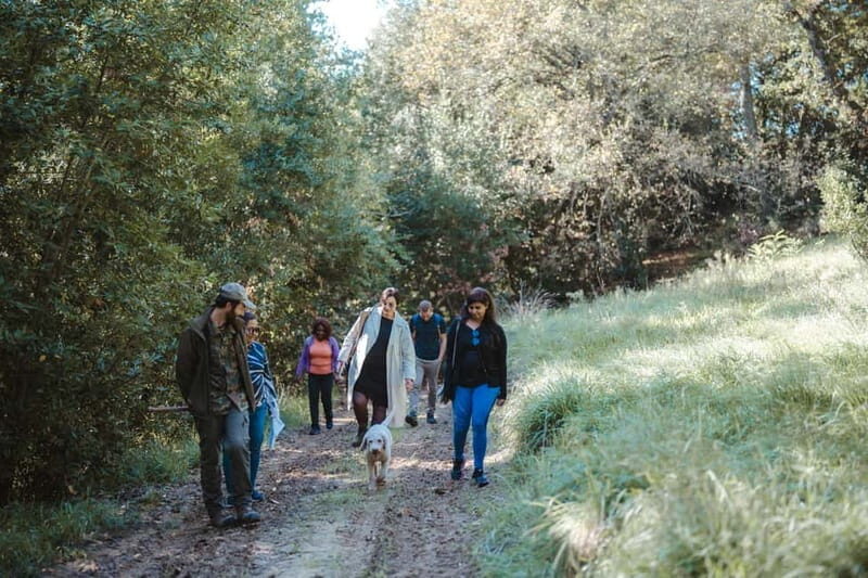Florence: Truffle Hunting with Lunch, Wine & San Gimignano - The Value of This Experience  