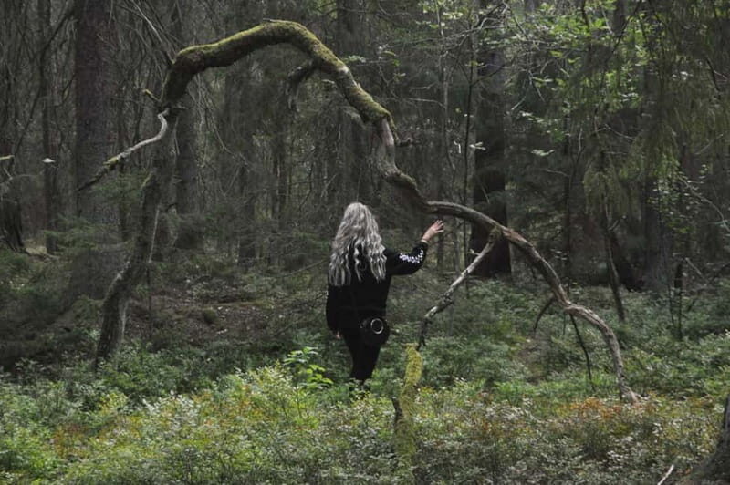 Forest Bathing in Stockholm nature with certified guide - FAQ  