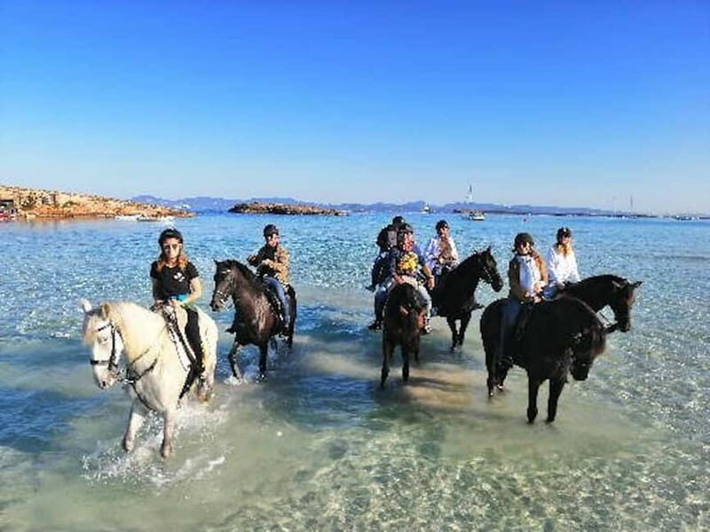 Formentera: Private Horseback Ride with Pick-up on Beach - The Practicalities