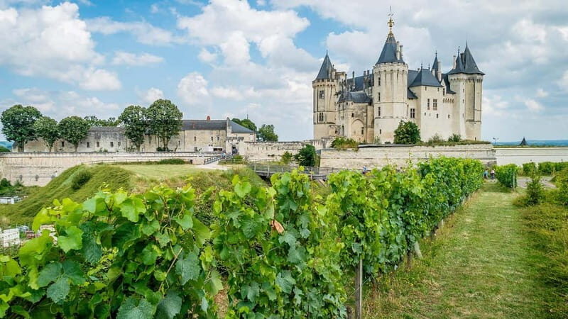 France: Private Wine Tasting Tour with Chauffeur from Paris - The Experience in Detail