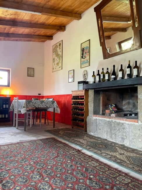 Frascati: Vineyard Wine Tasting Tour with Snacks - What to Expect: A Closer Look at the Experience