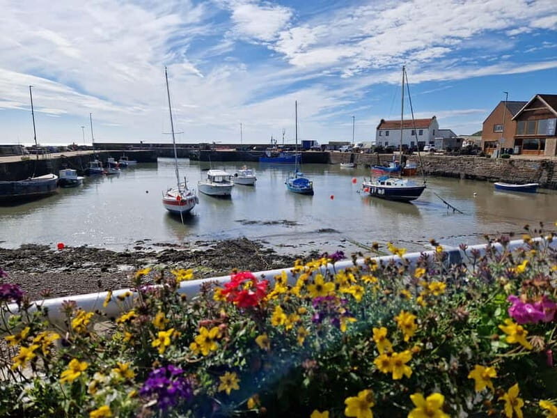 From Aberdeen: Guided Day Trip, Coast & Castle Visit - The Experience and Its Value