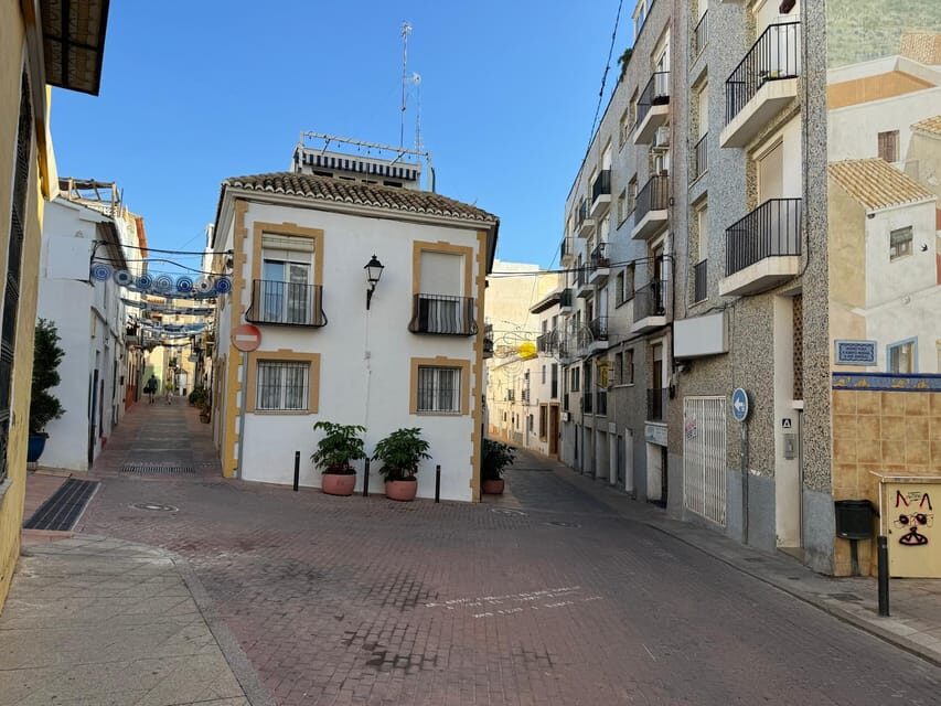 From Albir & Benidorm: Calpe Old Town and Port Day Trip - Who Should Consider This Tour?
