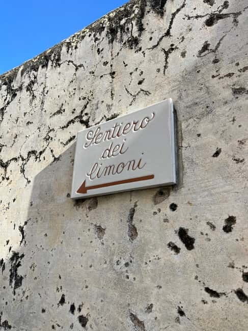 From Amalfi: Lemon Tour with Tasting Session and Transfer - The Comfort of Private Transfers