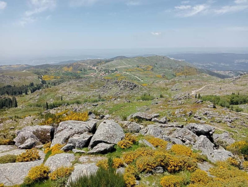 From Arouca: Private Car Tour to Serra da Freita - A Closer Look at the Serra da Freita Private Car Tour