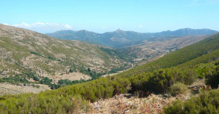 From Arzana: trekking to Punta La Marmora with aperitif - Practical Details and What to Expect