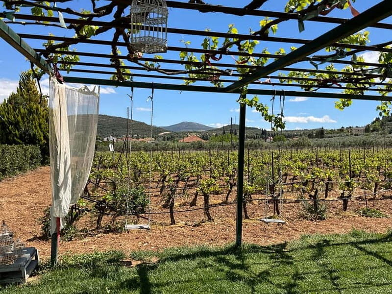 From Athens: Nemea Wine Tour with Corinth Canal Stop - What Makes This Tour Stand Out?