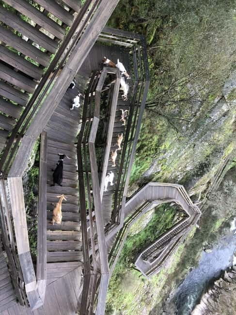 From Aveiro - Paiva Walkways and 516 Bridge - Practical Tips for Visitors