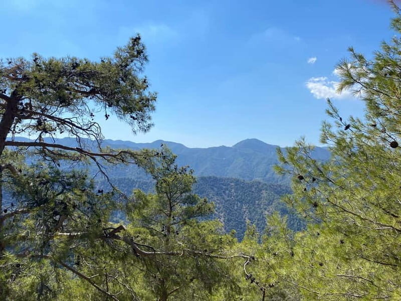 From Ayia Napa, Limassol: Troodos Mountains Private Day Trip - What Travelers Say  