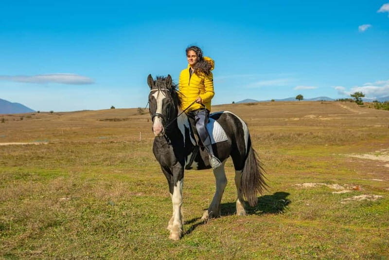 From Bansko: Horse Riding Experience - The Itinerary and What to Expect