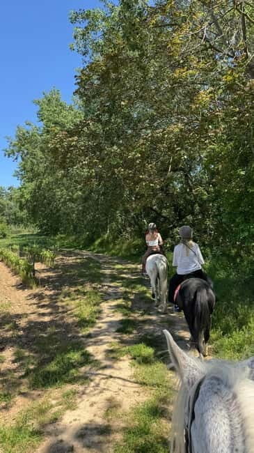 From Barcelona: PRIVATE Horseback Ride + Tapas + Picnic - What the Tour Includes and What It Doesn’t