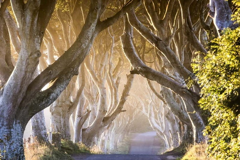 From Belfast: Giant's Causeway & Titanic Experience Belfast - Transportation and Guide Quality