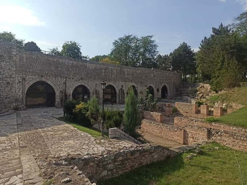 From Belgrade: Nis city full day tour - An In-Depth Look at the Tour