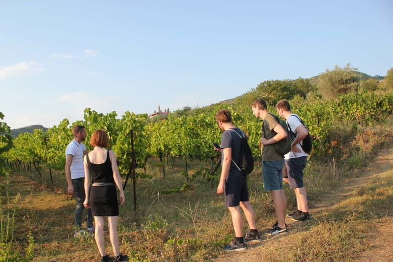 From Berat: Guided Winery Tour with Transfers and Tastings - Who Is This Tour Best For?