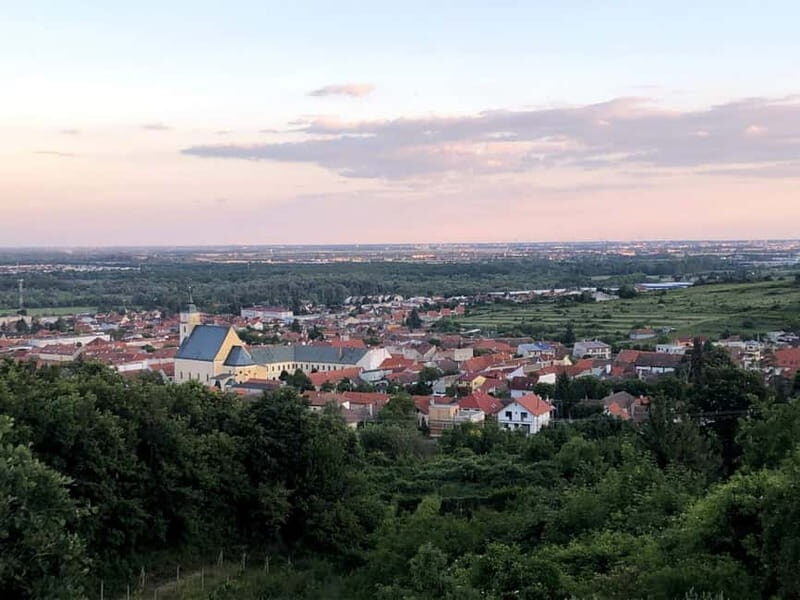 From Bratislava: Organic Wine Tasting in Svaty Jur - Visiting the Family-Run Winery