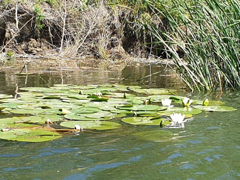 From Bucharest: 2-Day Danube Delta Wonders Small Group Tour - Final Thoughts  