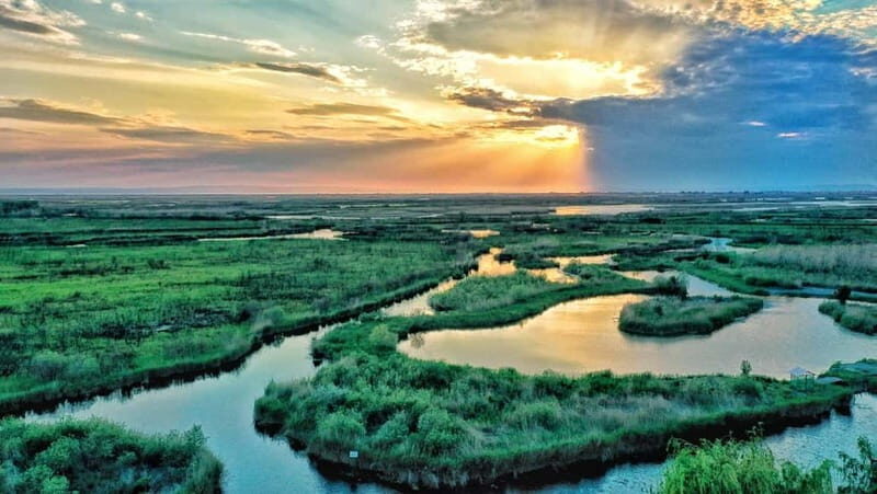 From Bucharest: Danube Delta Private Day Trip with Boat Tour - How to Make the Most of This Experience