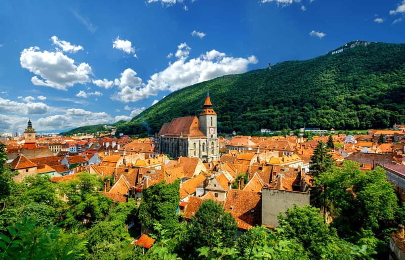From Bucharest: Peles Castle, Brasov & Bran Castle Day Trip - What Makes This Tour Special?