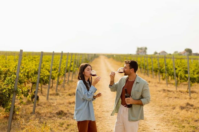 From Cádiz: Chiclana de la Frontera Winery Tour with Lunch - Practical Details and Tips