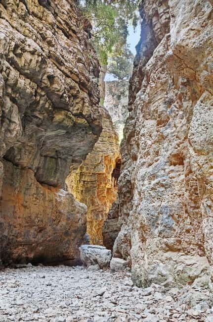 From Chania: Imbros Gorge and Sfakia Experience Hike & Swim - The Value and Practicalities