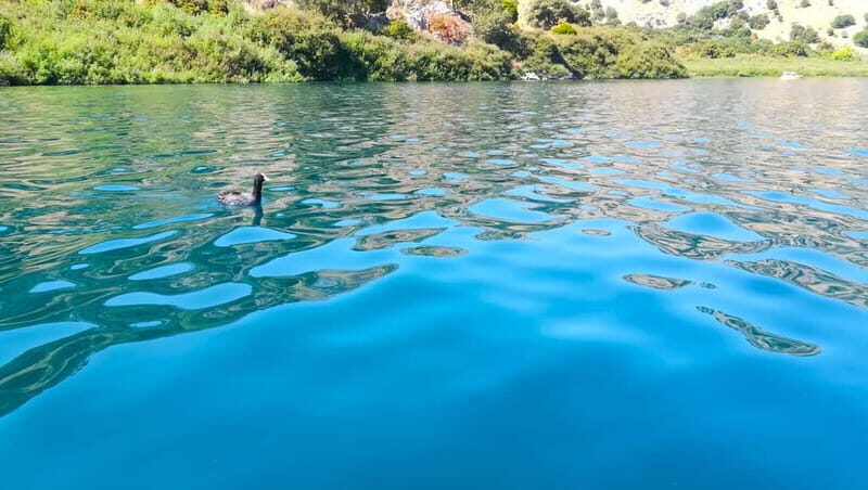 From Chania: Lake Kournas & Argiroupoli Springs Guided Tour - Transportation and Practicalities