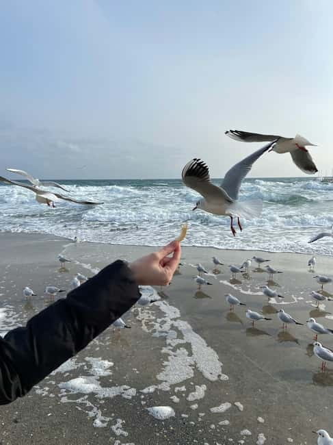 From Chiinu to Odesa: A Tasty Day Trip! - What Makes This Tour Stand Out?