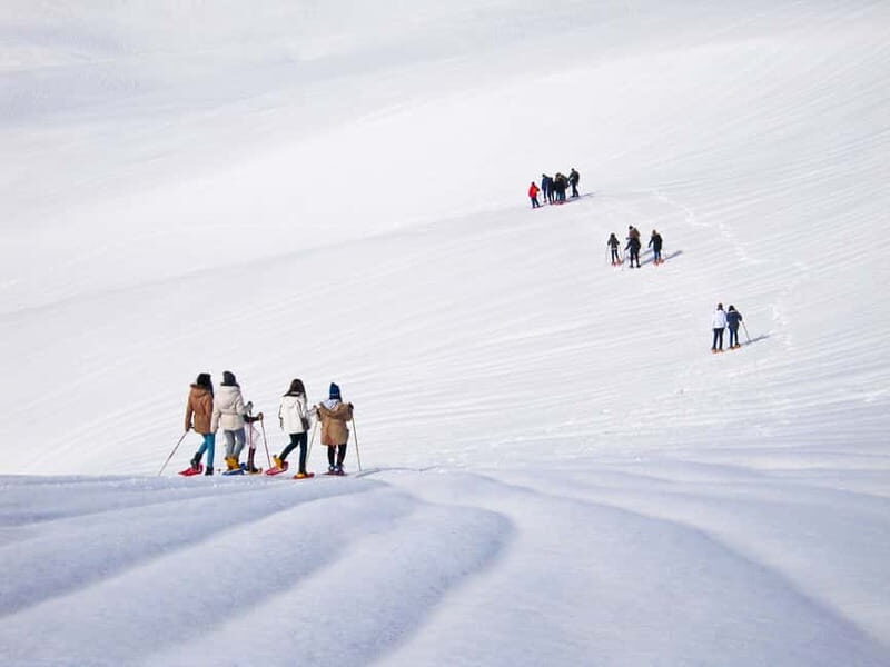 From Cluj: Winter Walking Trip on the Great Mountain - The Genuine Value: What Travelers Say