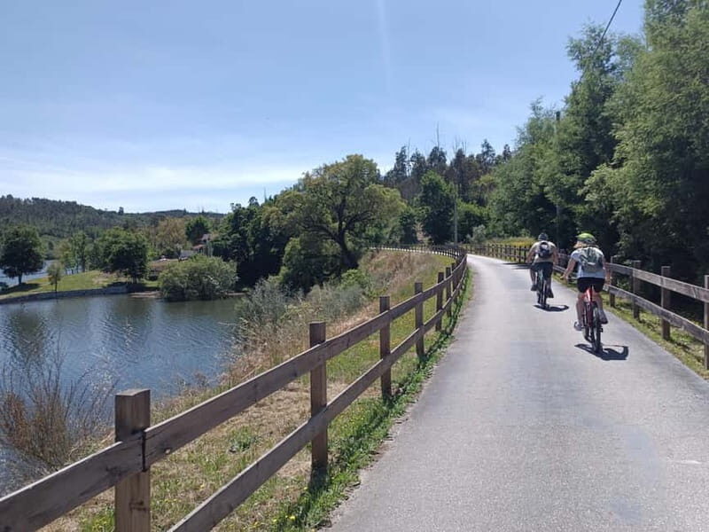 From Coimbra: Cycling on the Dão Ecotrail - Detailed Itinerary and Highlights