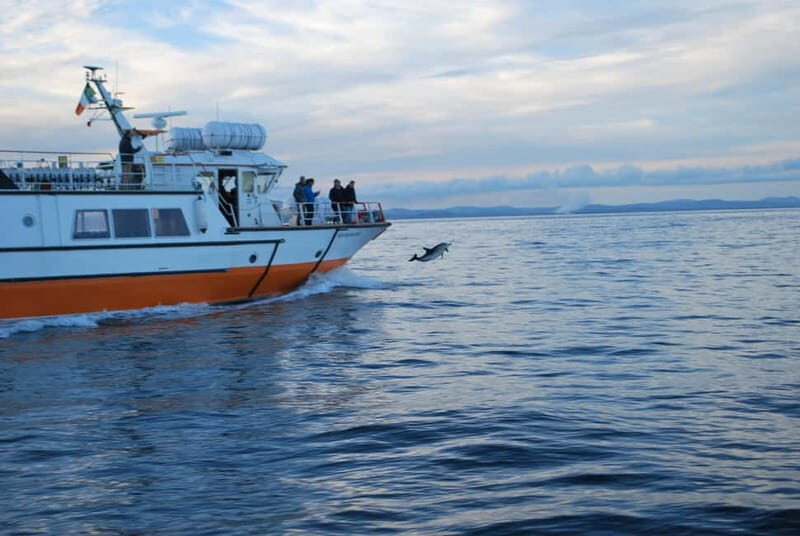 From Cork: Fastnet Rock Lighthouse & Cape Clear Island Tour - An In-Depth Look at the Tour Experience