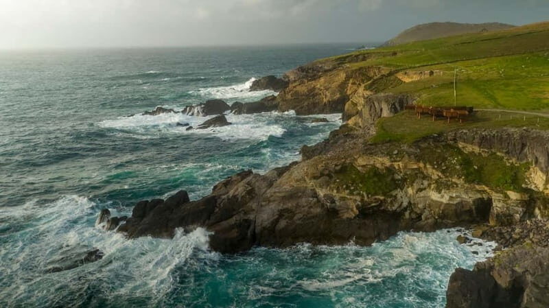 From Cork: Ring of Kerry & Killarney Guided Full Day Tour - The Sum Up