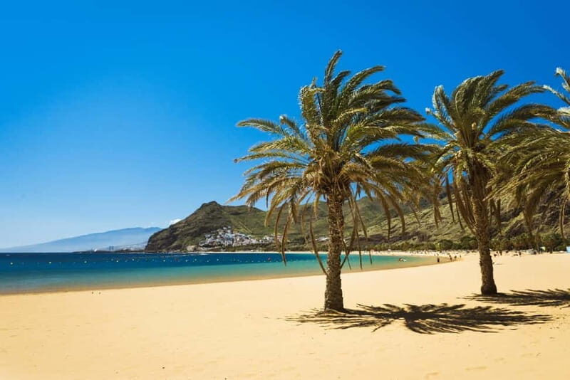 From Costa Adeje or Santa Cruz: Contrasts of Tenerife Tour - Major Highlights of the Tour