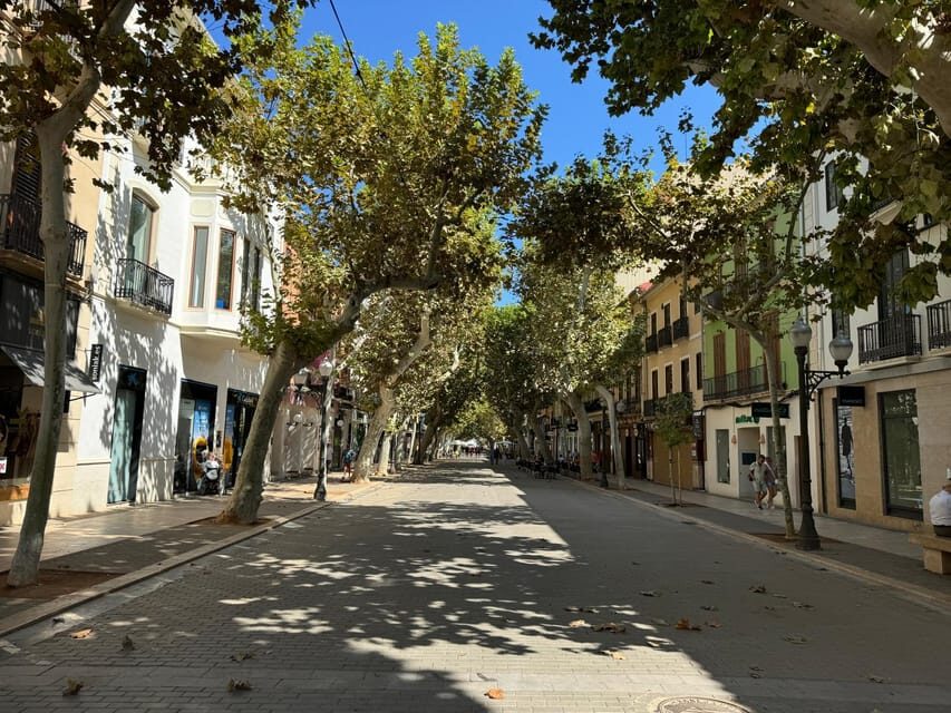 From Costa Blanca: Denia and Mediterranean Gardens Day Trip - Practical Tips for Making the Most of the Tour