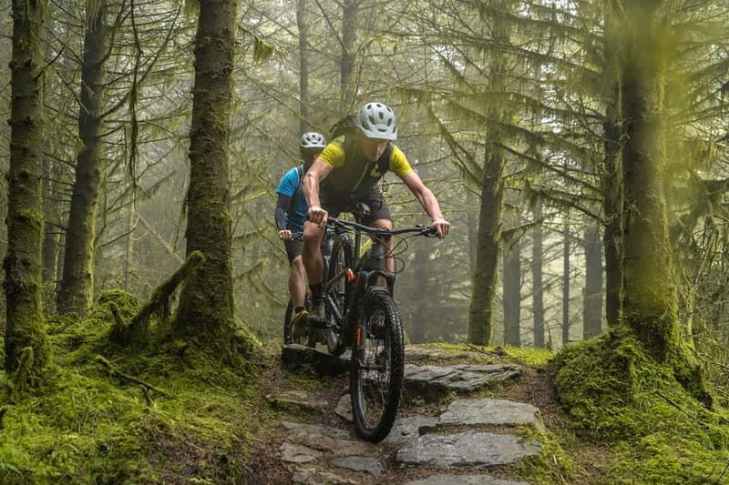 From Dublin: Mountain Bike Experience - Who Should Consider This Tour?  