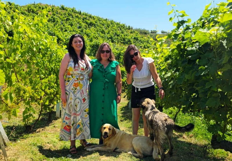 From Durrës/Golem: Vineyard Boat Tour, Wine & Food Tasting - The Itinerary in Detail
