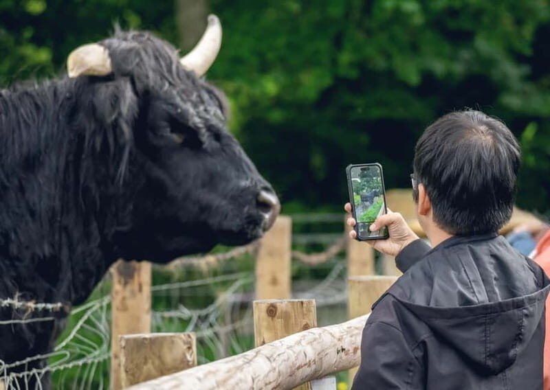 From Edinburgh: Stirling Castle, Kelpies and Loch Lomond - What to Expect and Practical Tips