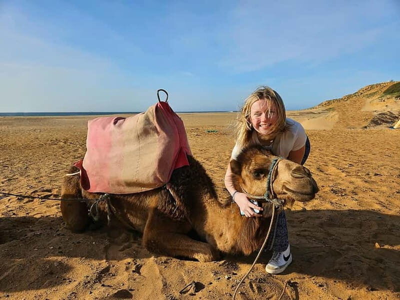 From Estepona: Tangier Day Trip with Ferry & Camel & Souk - Unpacking the Value