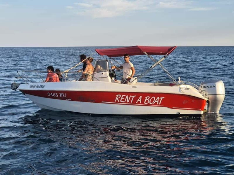 From Fazana Dolphin watching at sunset from a speedboat - Discovering the Experience: What to Expect