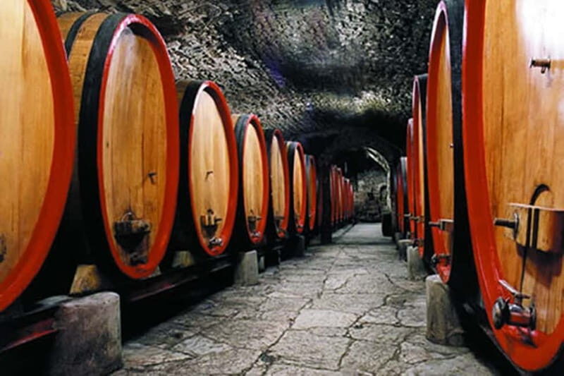 From Florence: Chianti Wine Tour with Driver-Guide - What Makes This Tour Stand Out?