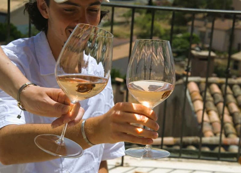 From Fréjus: Van tour to the heart of the Provençal vineyards - The Practicalities