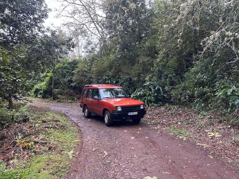 From Funchal: Private Eastern or Western Jeep Tour - Discovering the West Side of Madeira