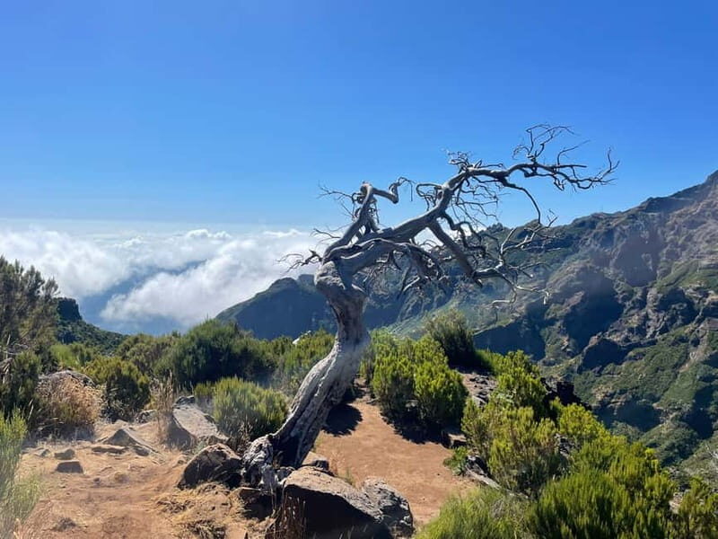 From Funchal: Transfer to Pico do Arieiro Trail - Practical Details and Why They Matter