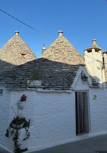 From Gallipoli or Lecce Province: Ostuni and Alberobello - An In-Depth Look at the Tour Experience