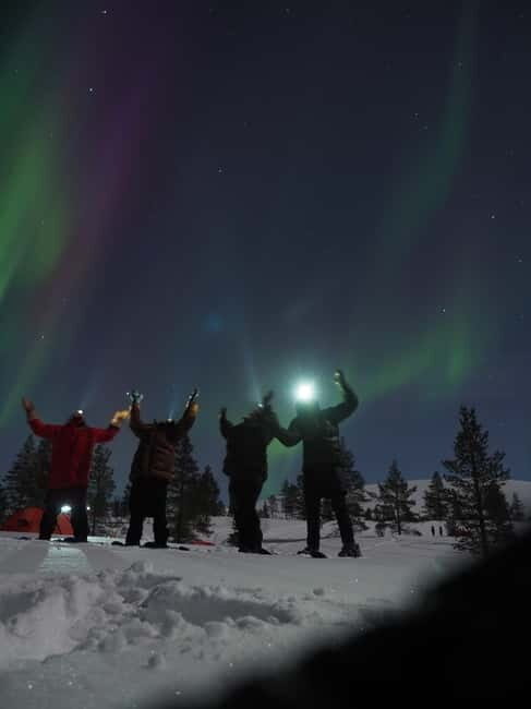From Helsinki: Guided Forest Walk in the dark with campfire - The Forest Walk